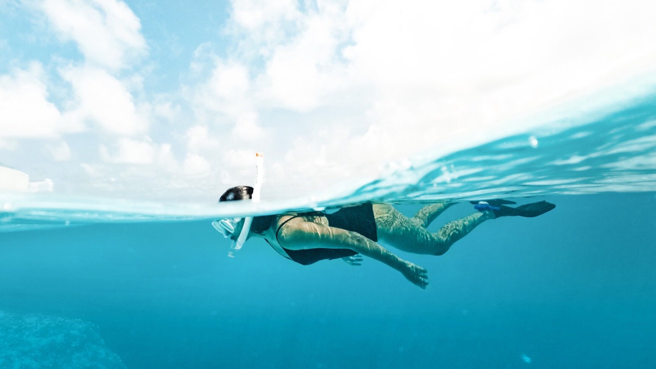 Photo of Others in Vakaru
