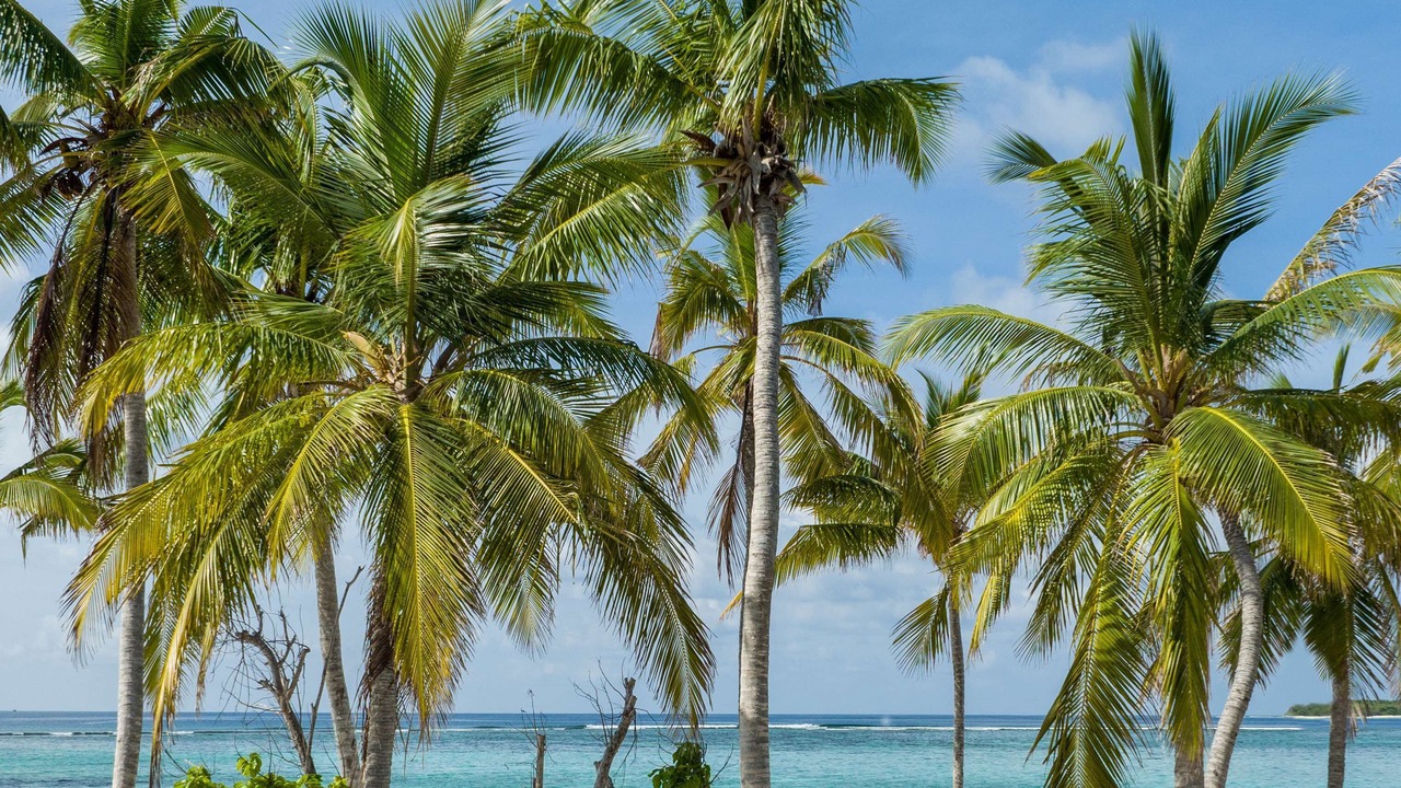 Photo of Others in Raa Atoll