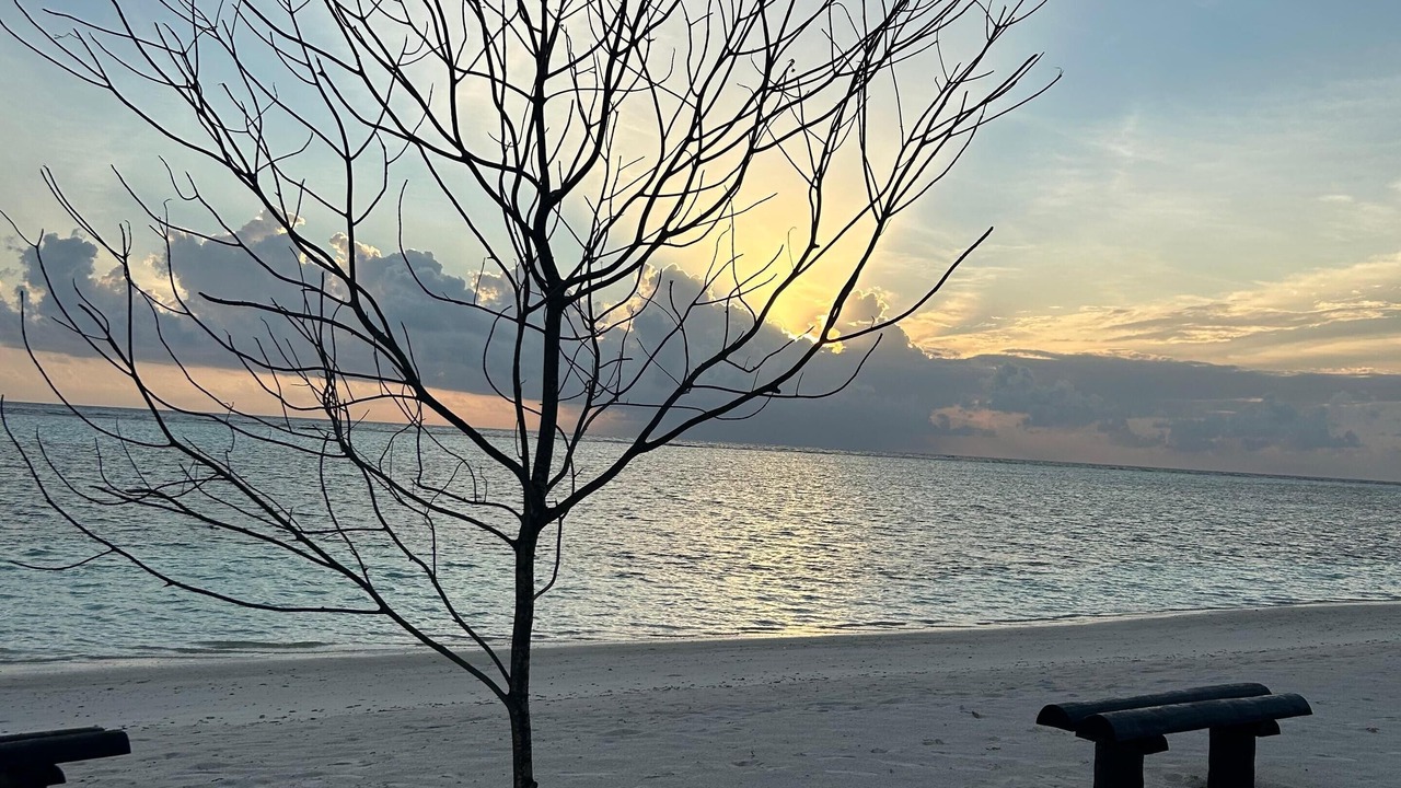 Photo of Others in Kaashidhoo