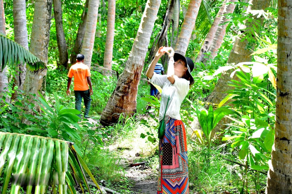 Photo of Outdoor in Kelaa
