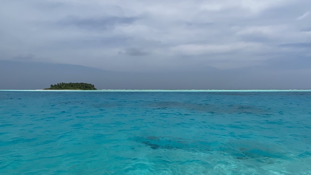 Photo of Others in Rinbudhoo