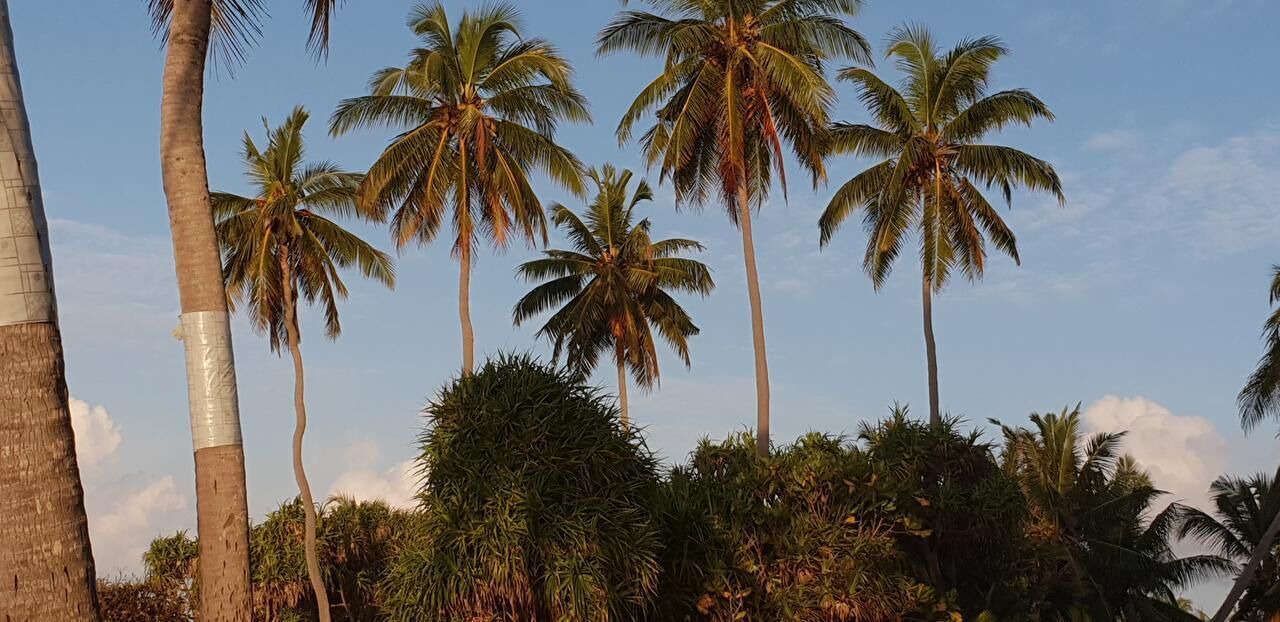 Photo of Others in Fuvahmulah