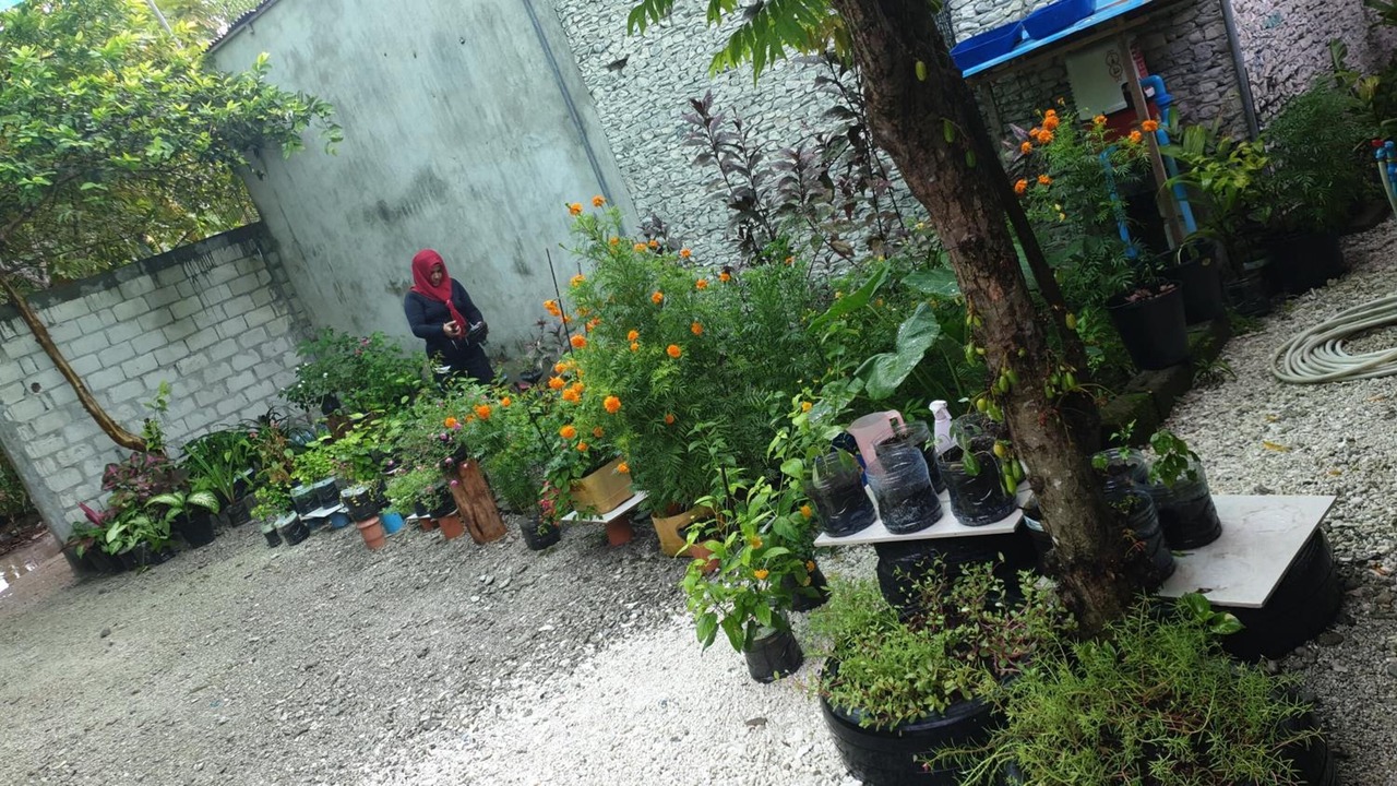 Photo of Outdoor in Fuvahmulah