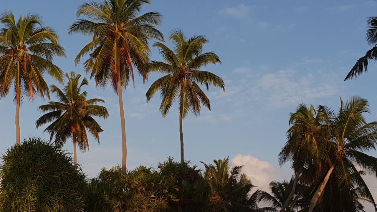 Photo of Outdoor in Fuvahmulah