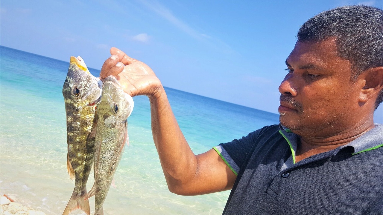 Photo of Others in Kurendhoo