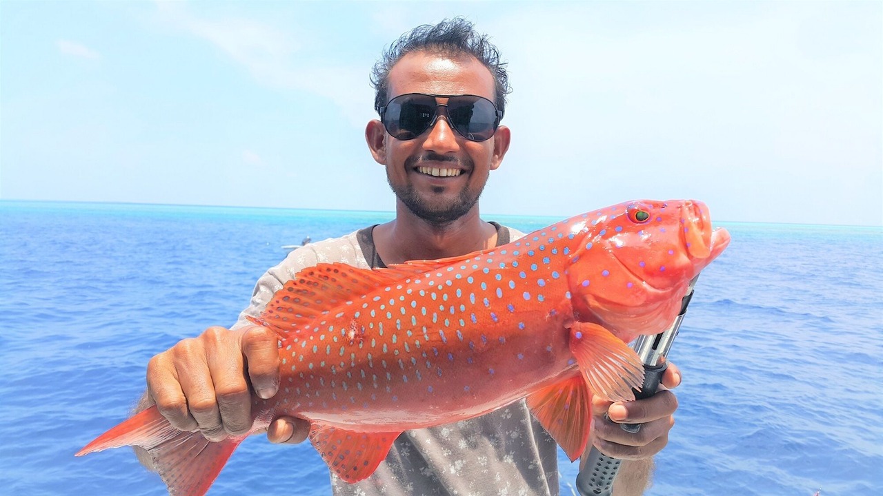Photo of Others in Kurendhoo