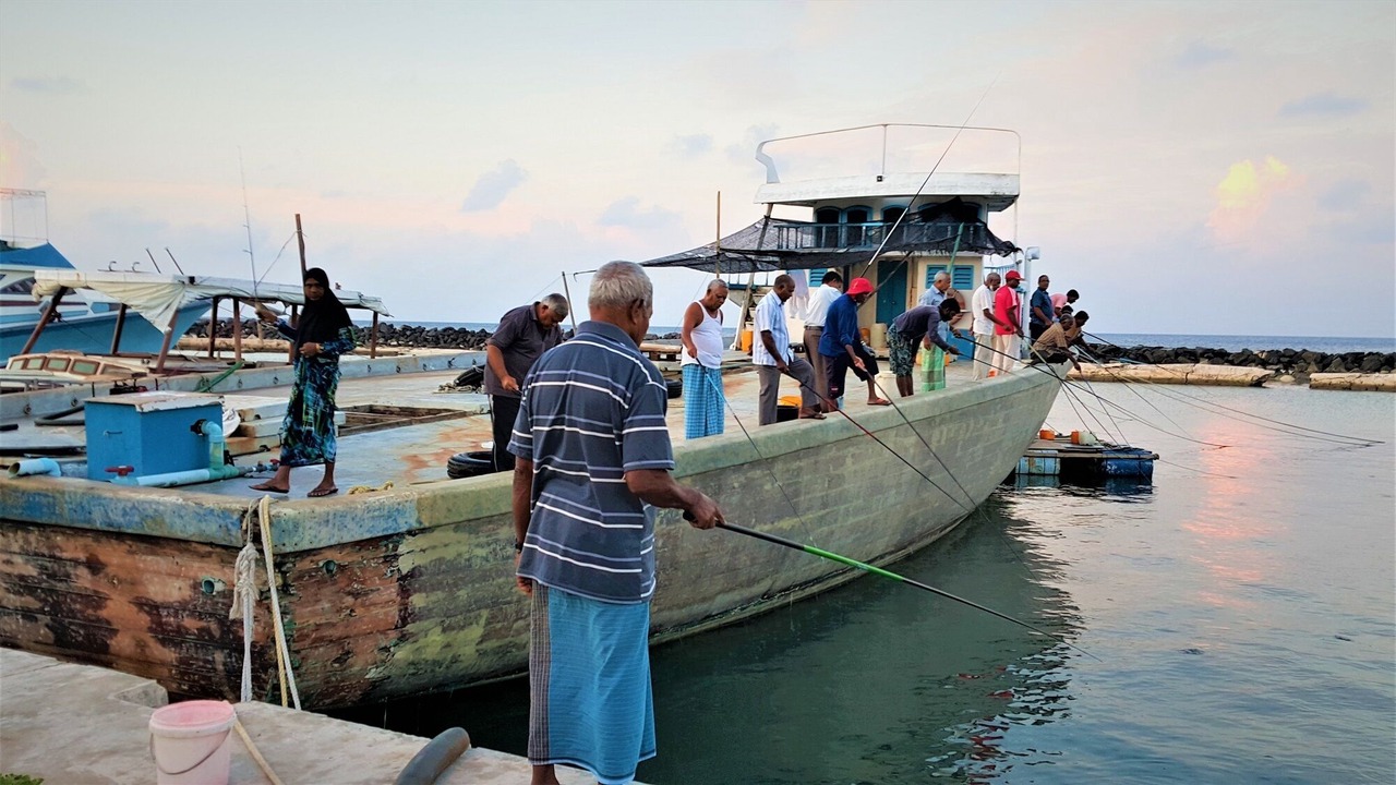 Photo of Others in Kurendhoo