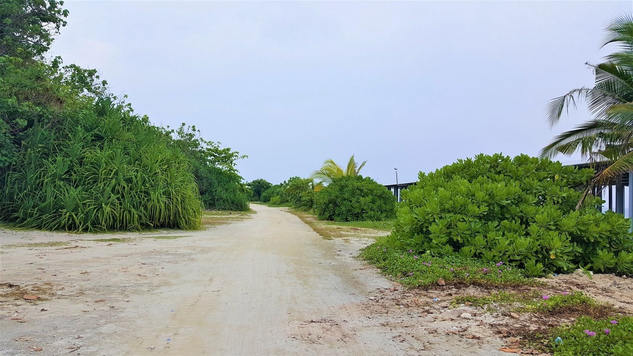 Photo of Others in Kurendhoo