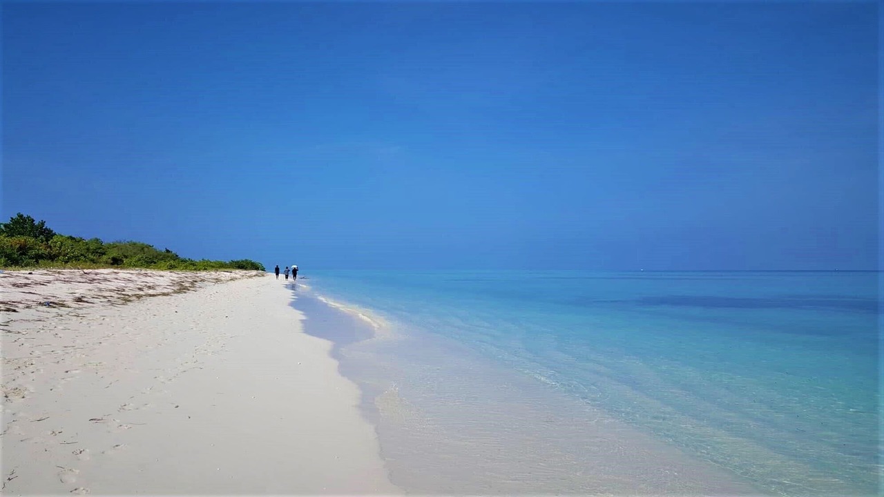 Photo of Others in Kurendhoo