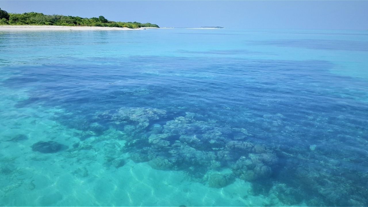 Photo of Others in Kurendhoo