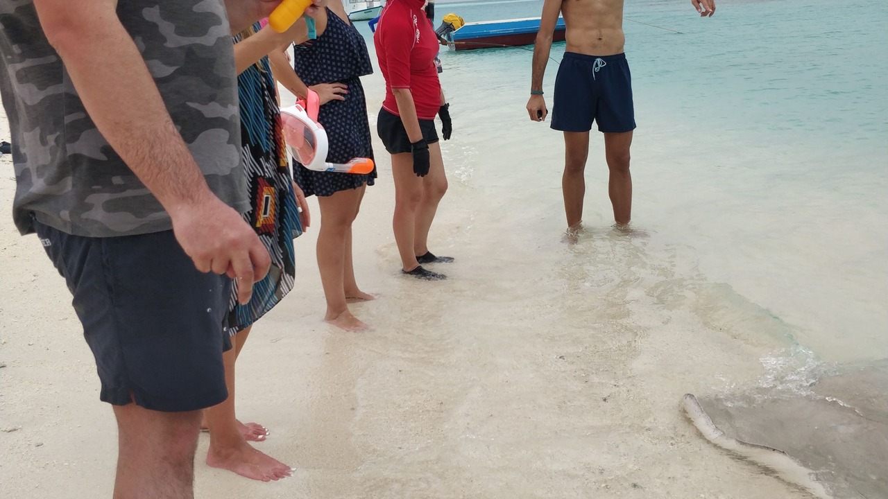 Photo of Others in Fulidhoo