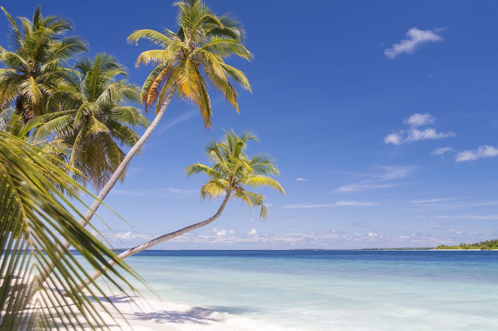 Photo of Outdoor in Maalhos
