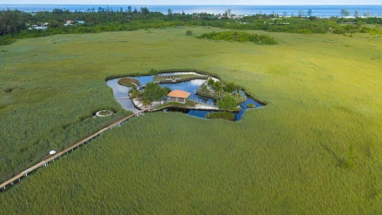Photo of Others in Hulhudhoo