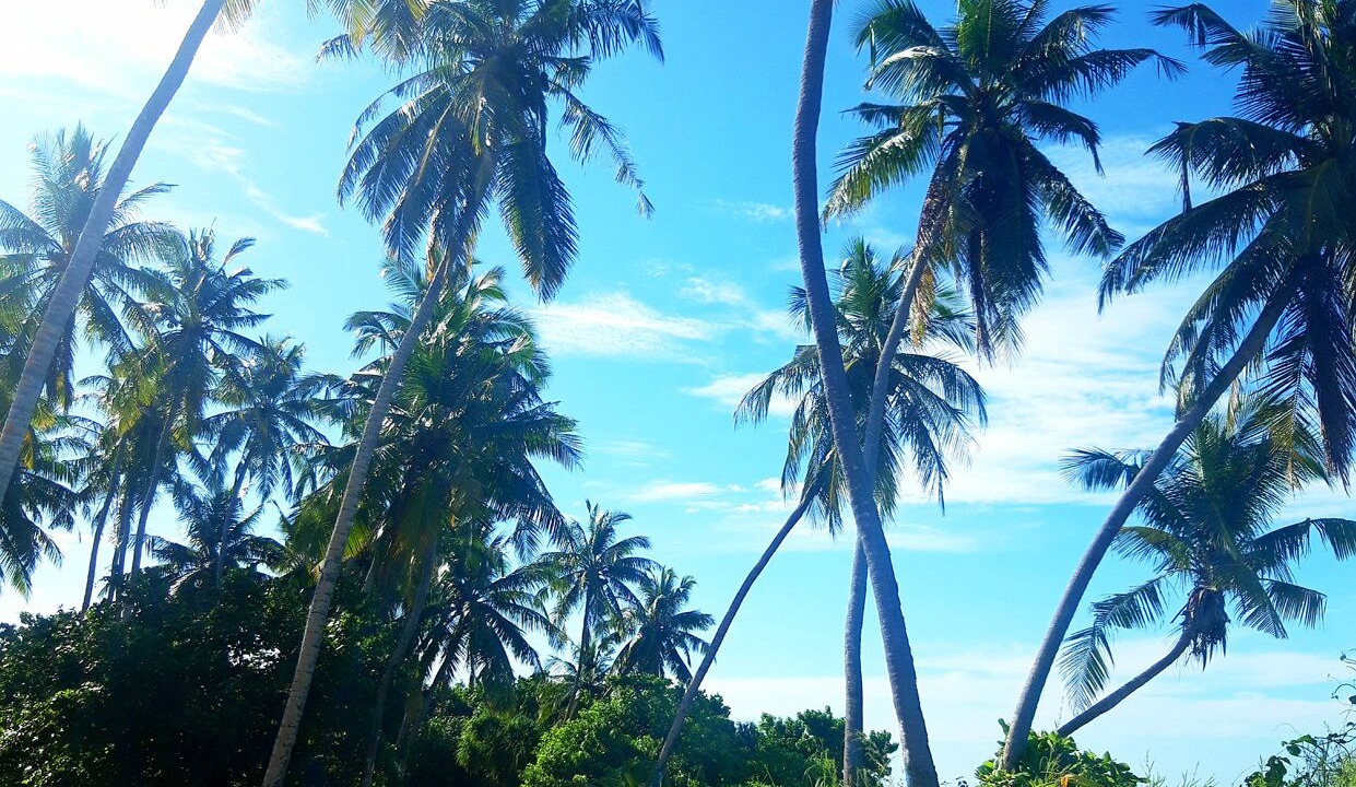 Photo of Outdoor in Dhangethi