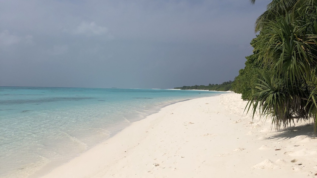 Photo of Others in Fulhadhoo