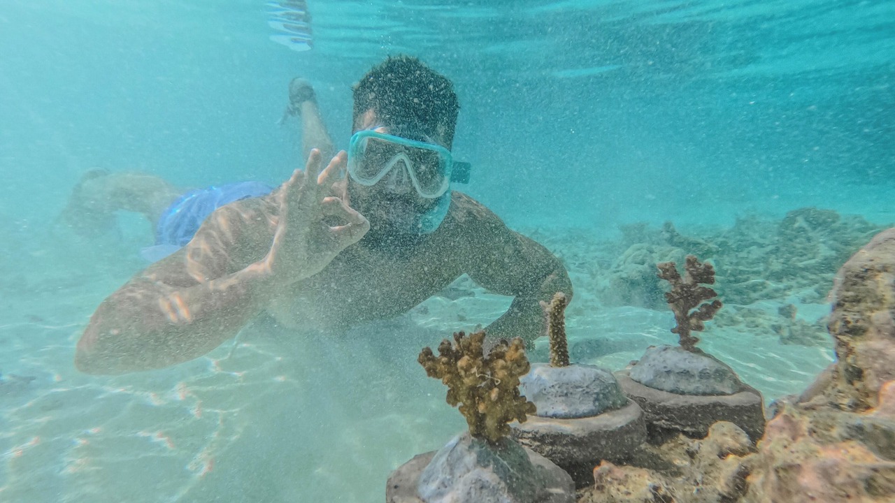 Photo of Others in Athuruga Island