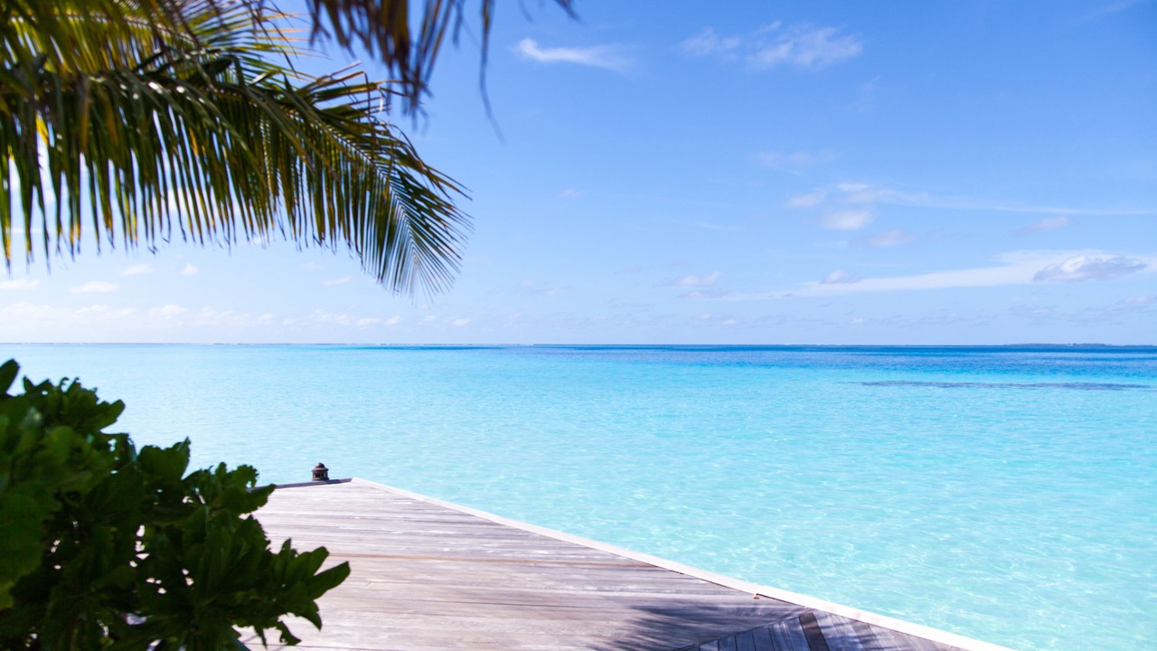 Photo of Others in Moofushi Island