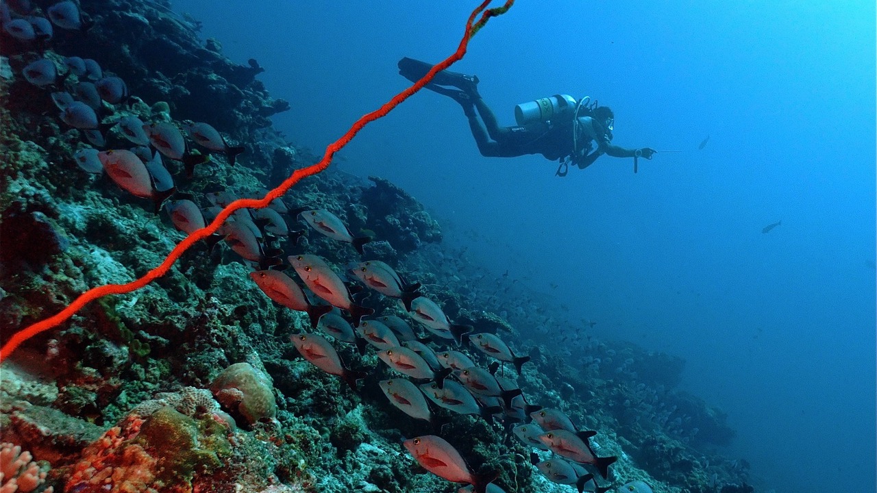 Photo of Others in Rasdhoo