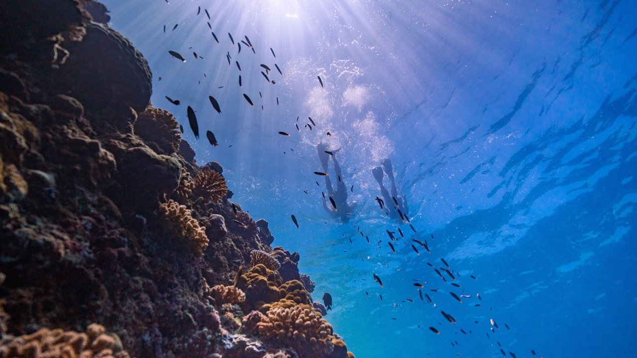 Photo of Outdoor in Maagau Island