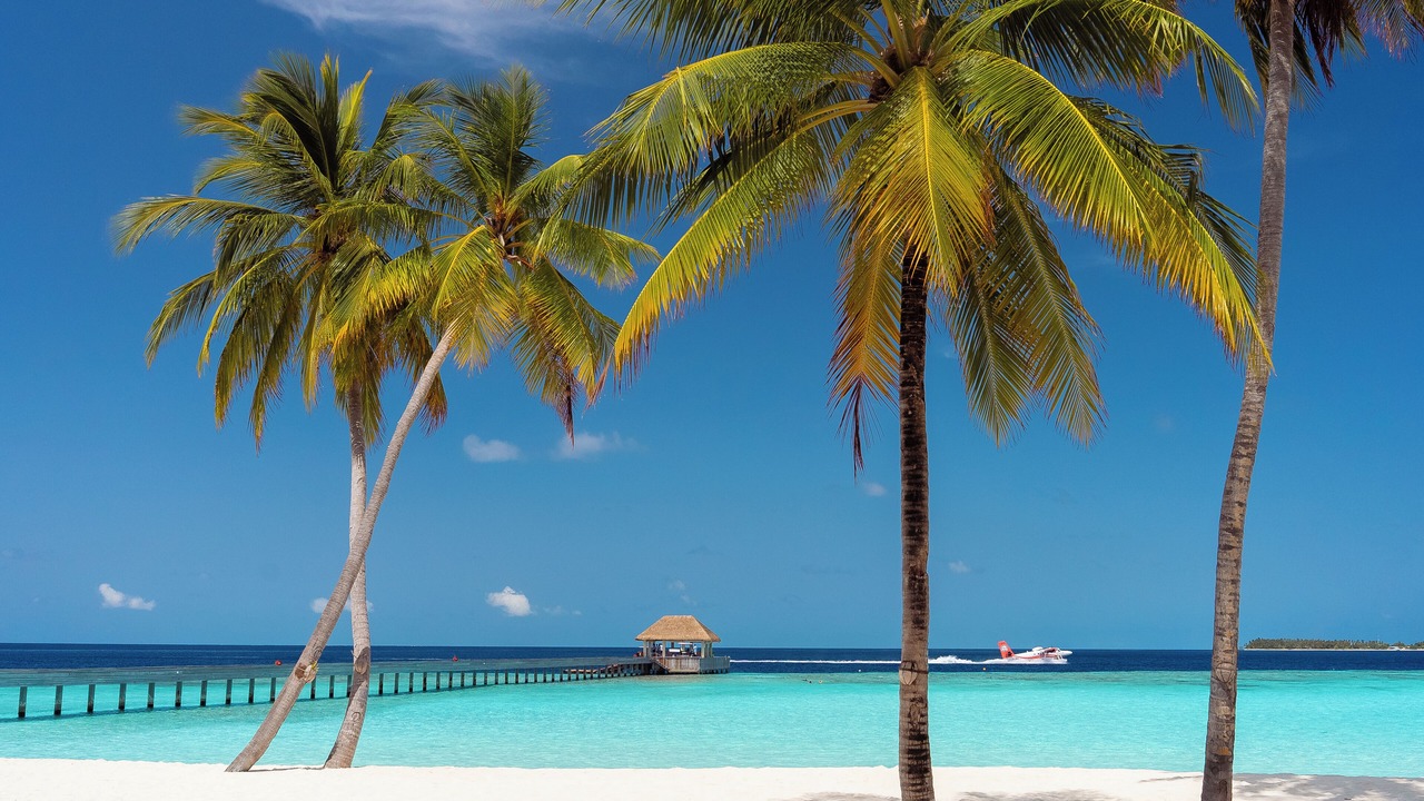 Photo of Outdoor in Maagau Island