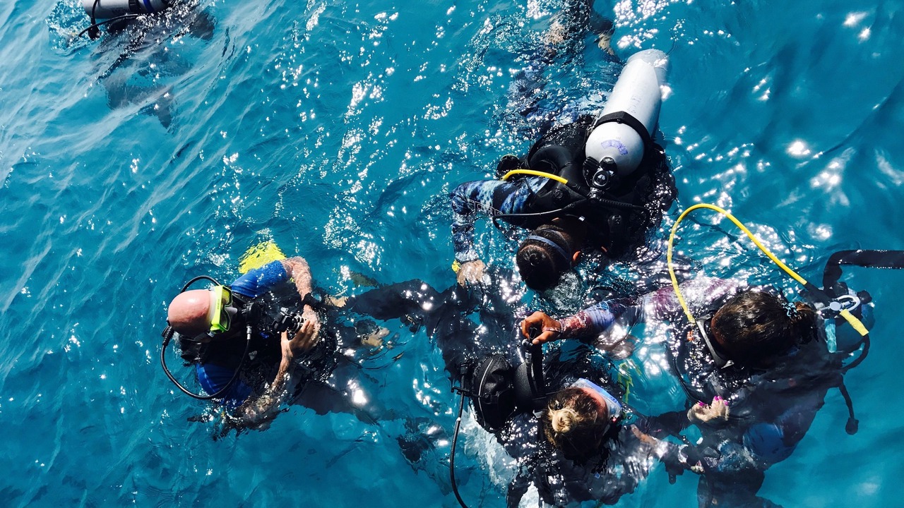 Photo of Others in Mahibadhoo
