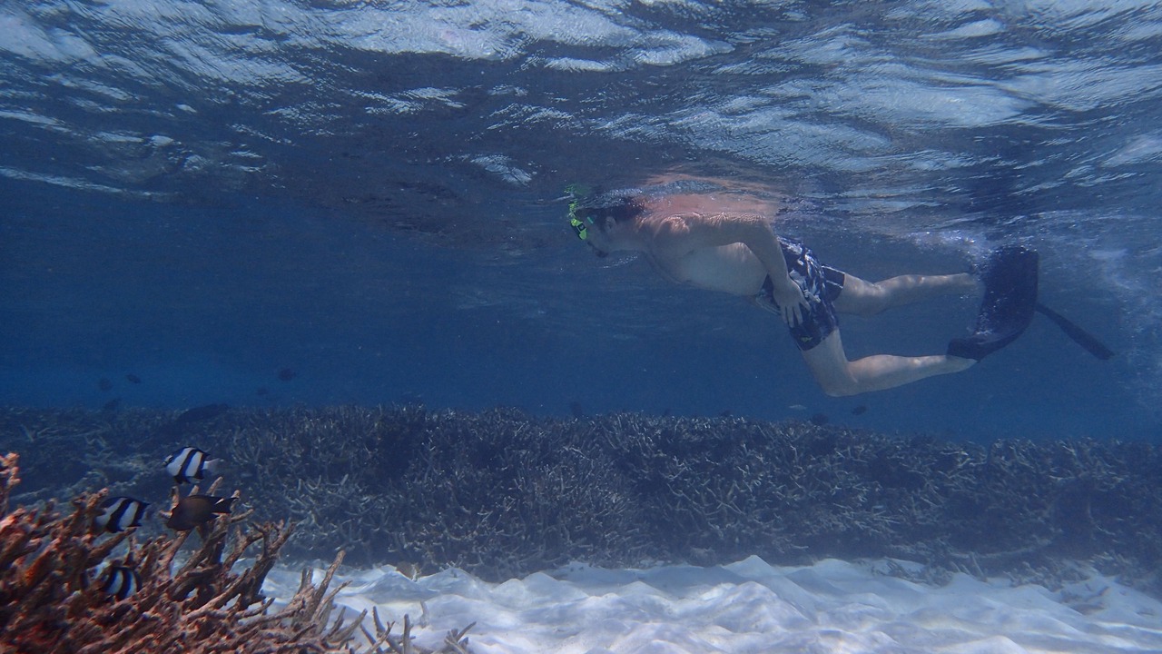Photo of Others in Ukulhas