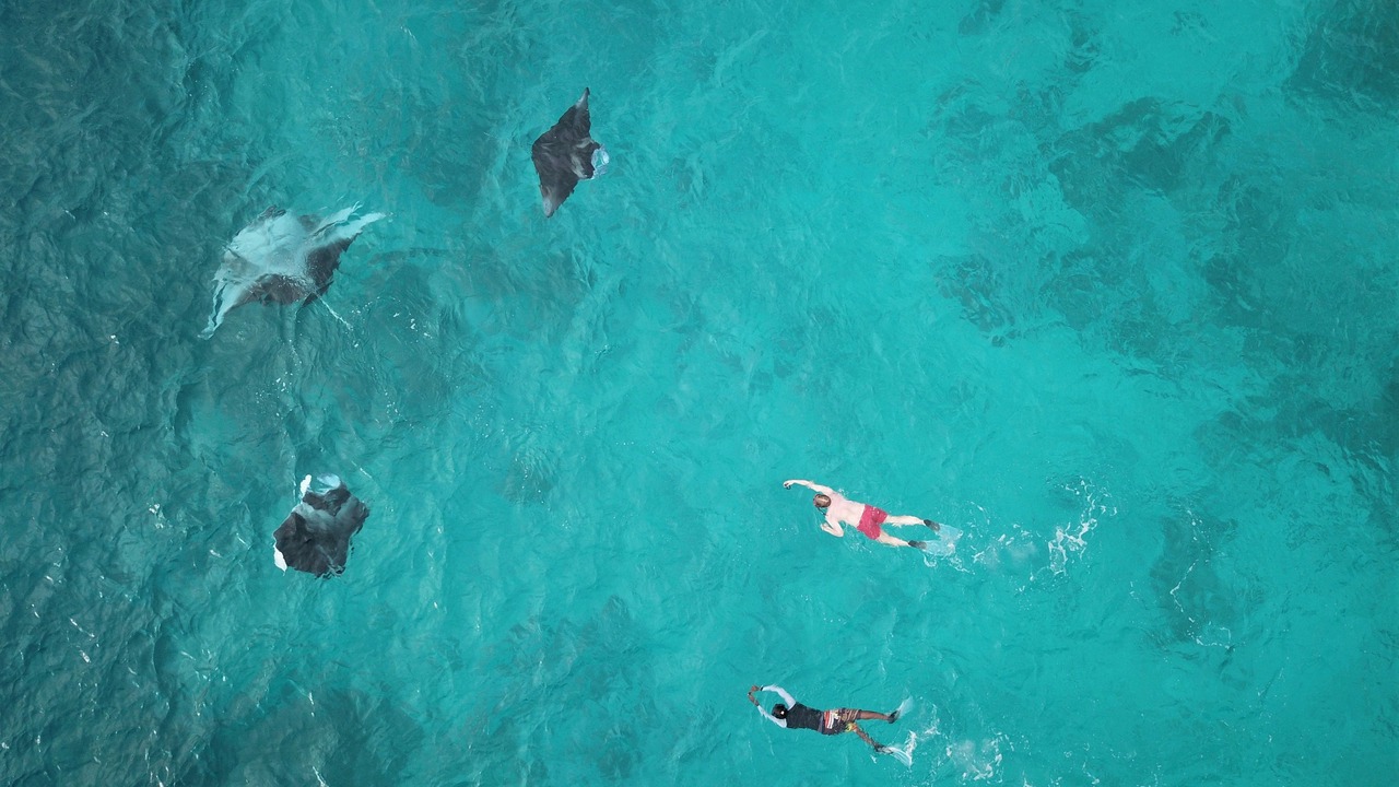 Photo of Others in Ukulhas