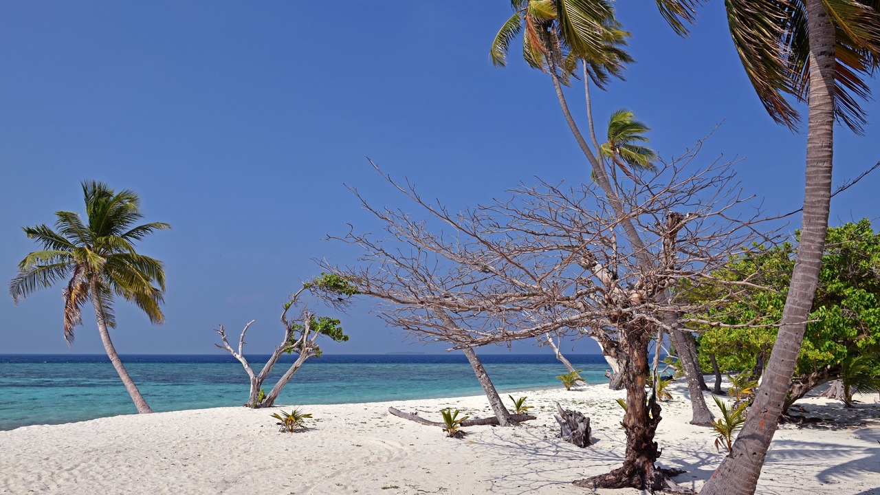 Photo of Others in Feridhoo