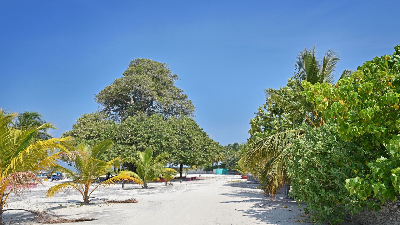 Photo of Outdoor in Feridhoo