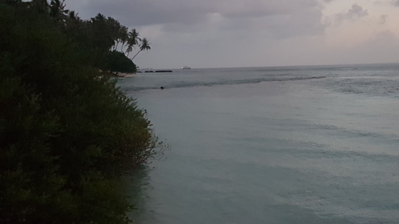 Photo of Others in Thulusdhoo Island