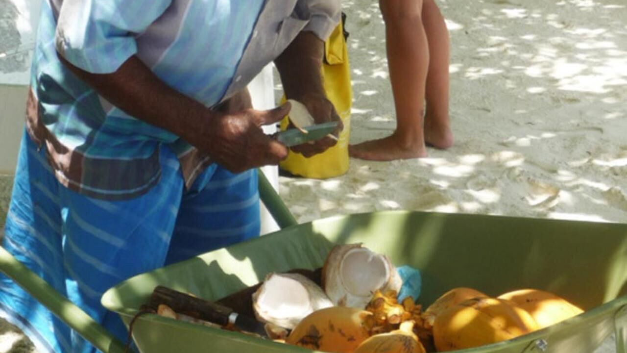 Photo of Others in Thulusdhoo Island