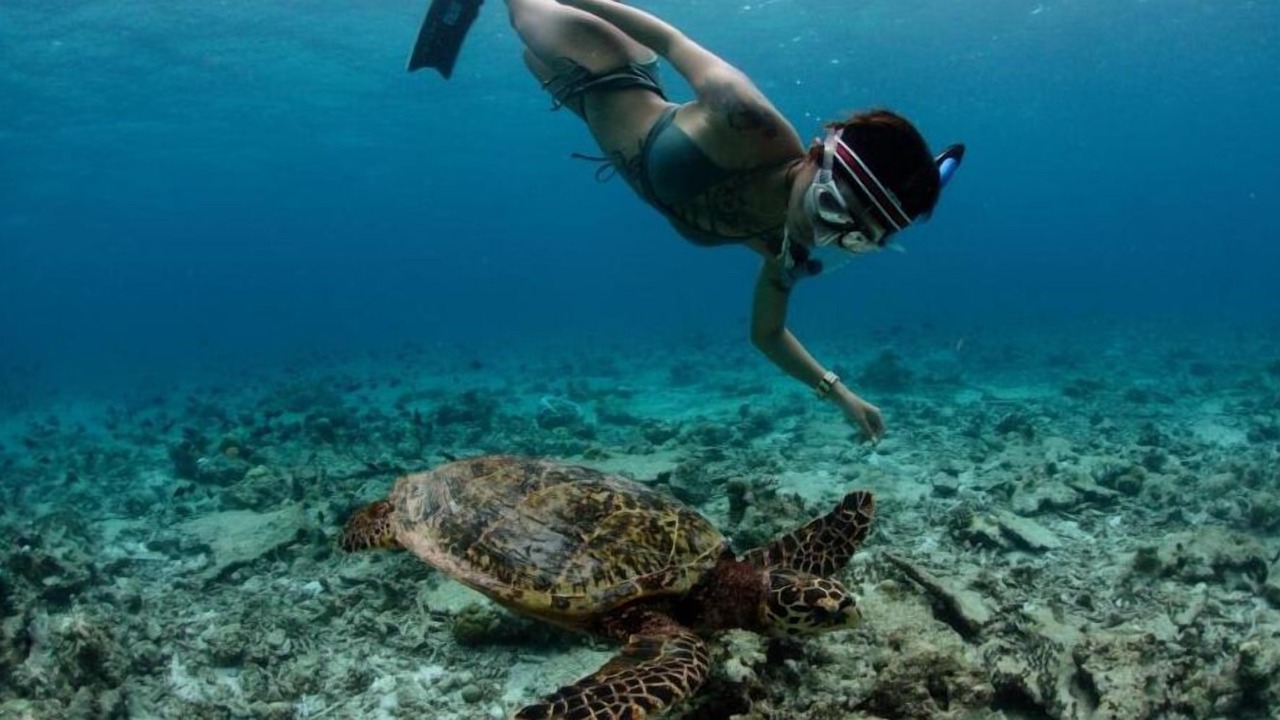 Photo of Others in Dhigurah