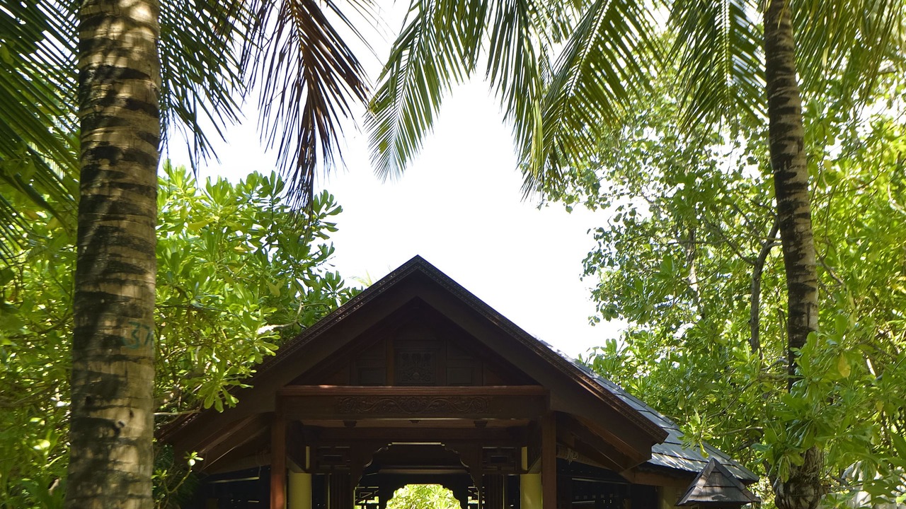 Photo of Others in Lankanfinolhu