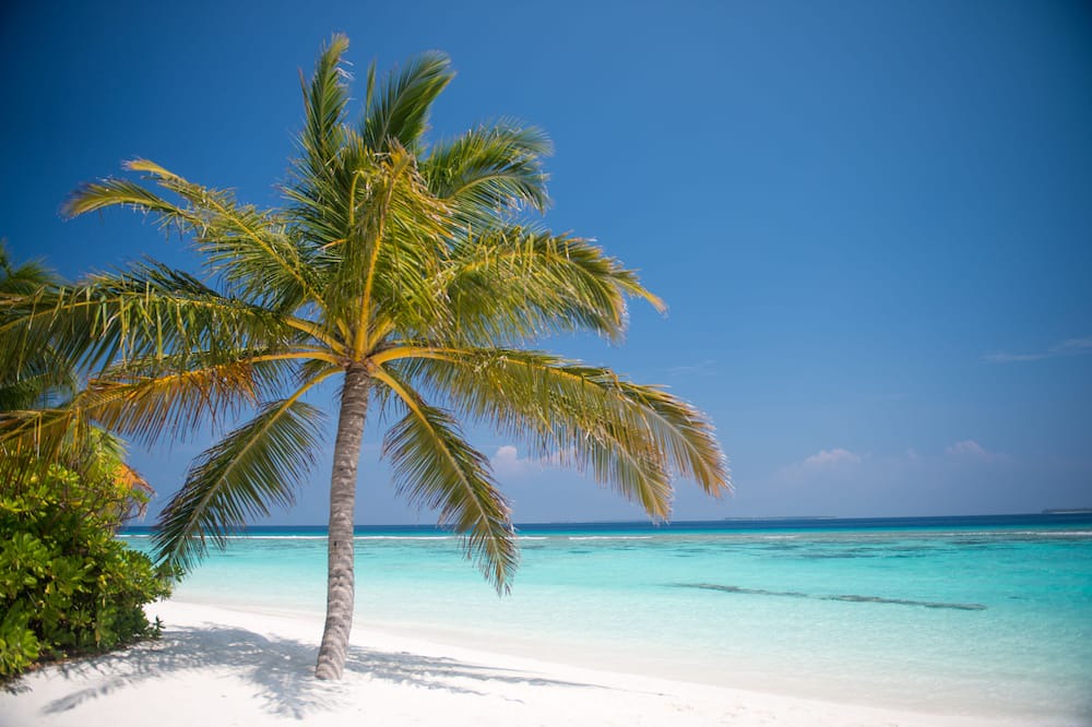 Photo of Outdoor in Biyadhoo Island