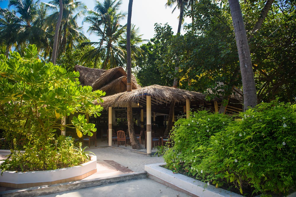 Photo of Others in Biyadhoo Island