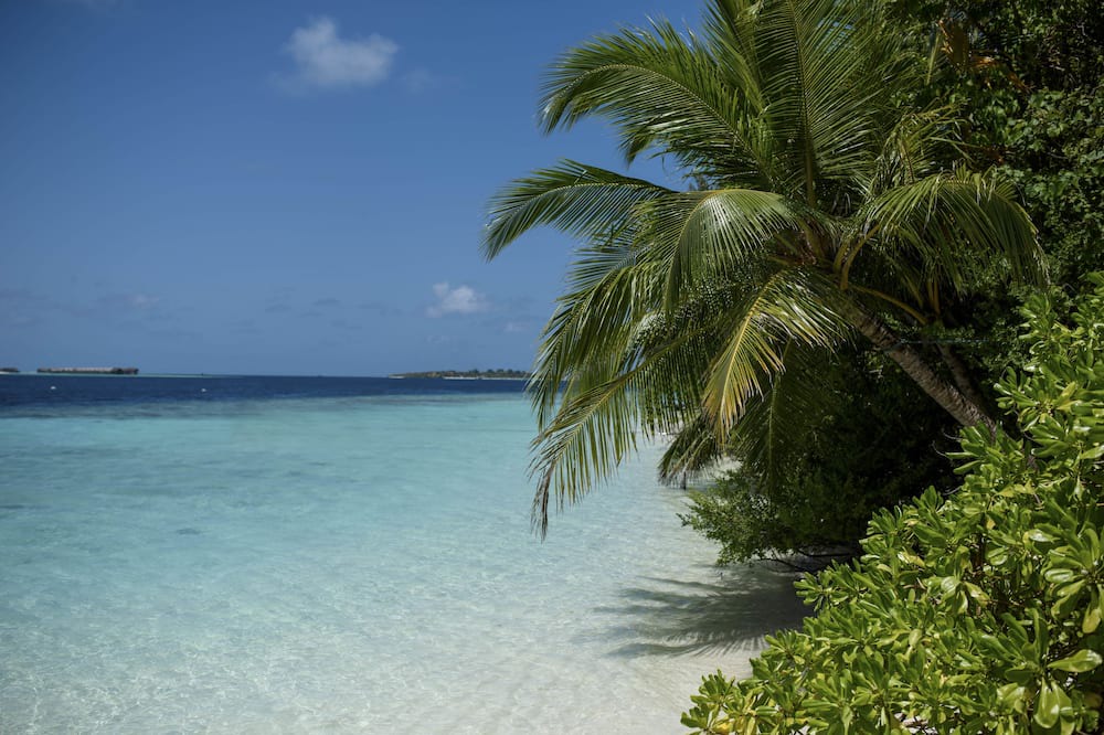 Photo of Outdoor in Biyadhoo Island
