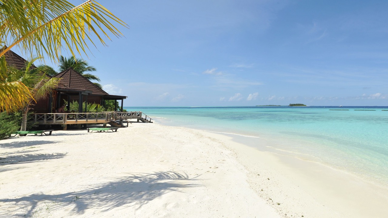 Photo of Others in Komandoo