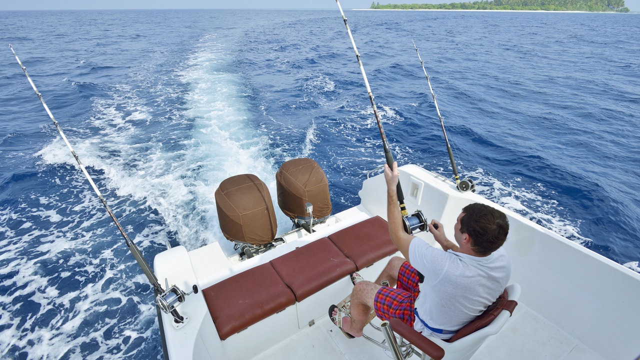 Photo of Others in Horubadhoo Island