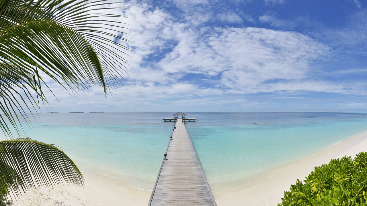 Photo of Others in Horubadhoo Island