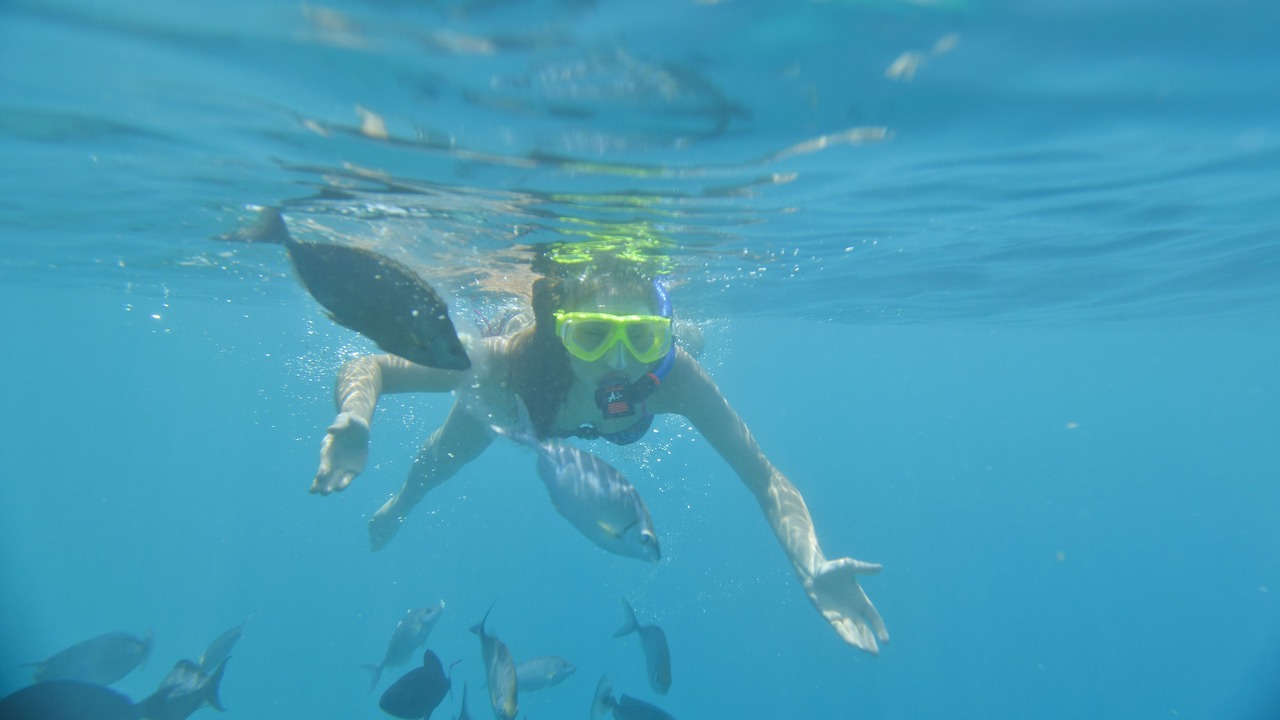 Photo of Others in Horubadhoo Island