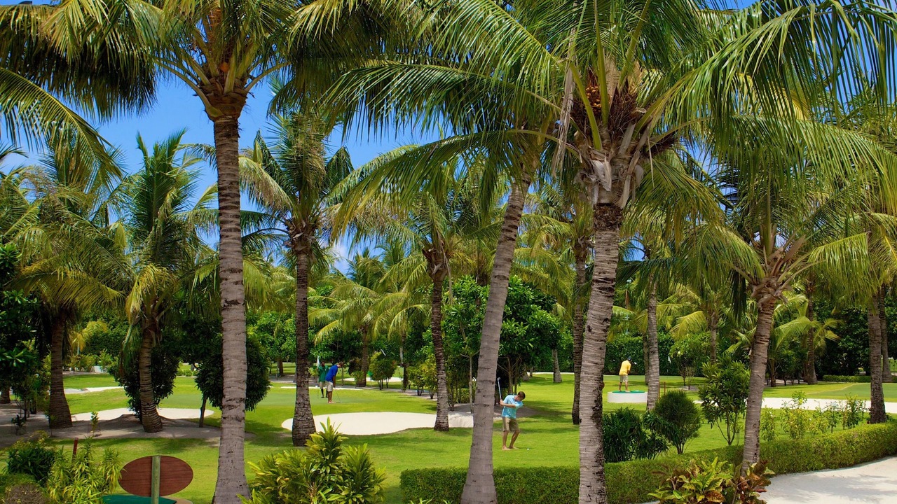 Photo of Others in Kuredu Island