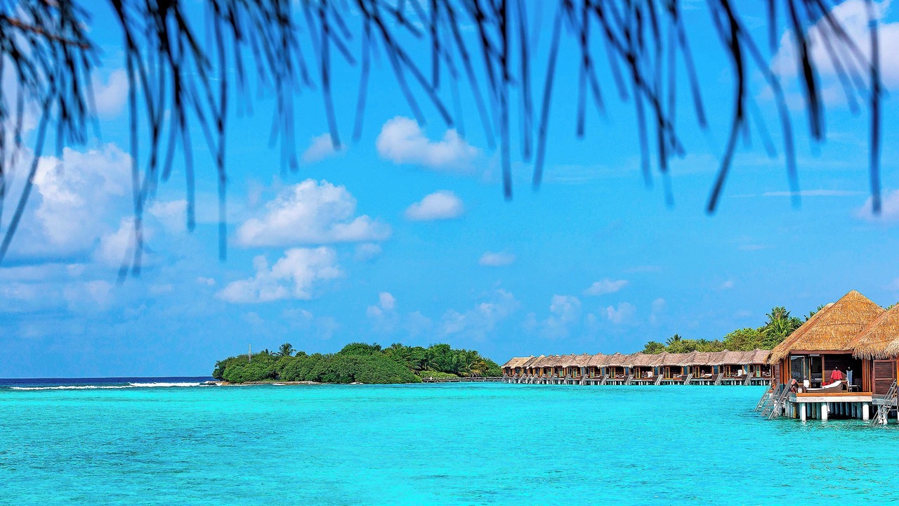 Photo of Others in Furanafushi Island