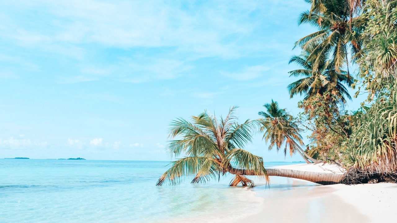 Photo of Others in Dhigurah