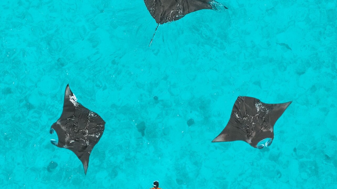 Photo of Outdoor in Fonimagoodhoo