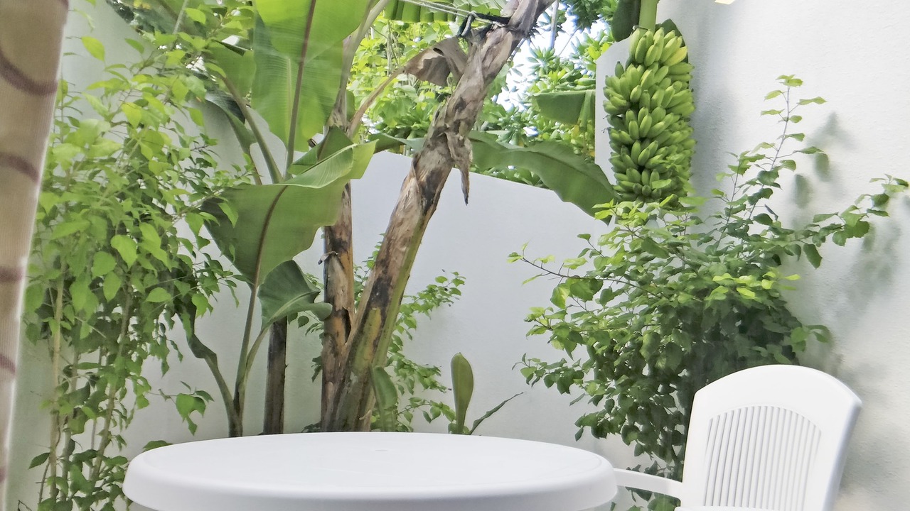 Photo of Outdoor in Thoddoo