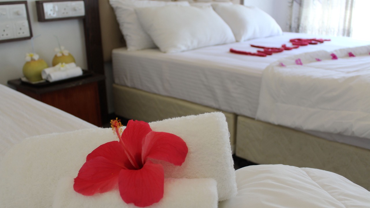 Photo of Bedroom in Thoddoo