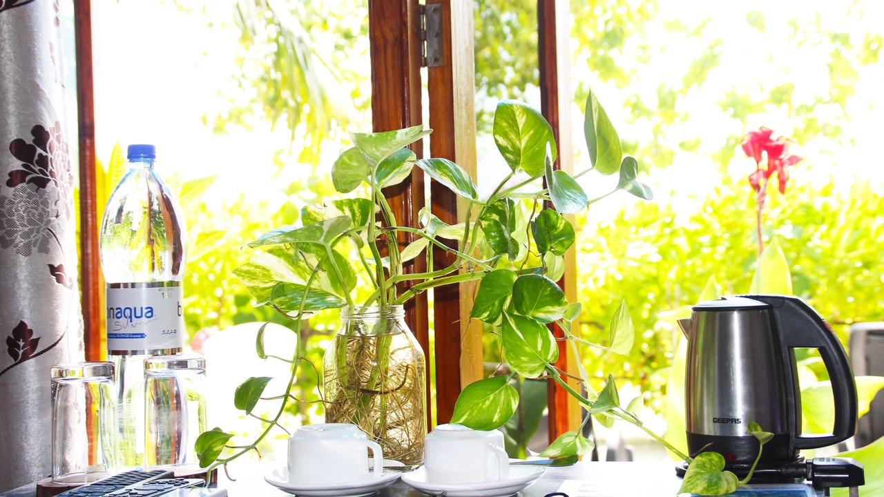 Photo of Bedroom in Guraidhoo