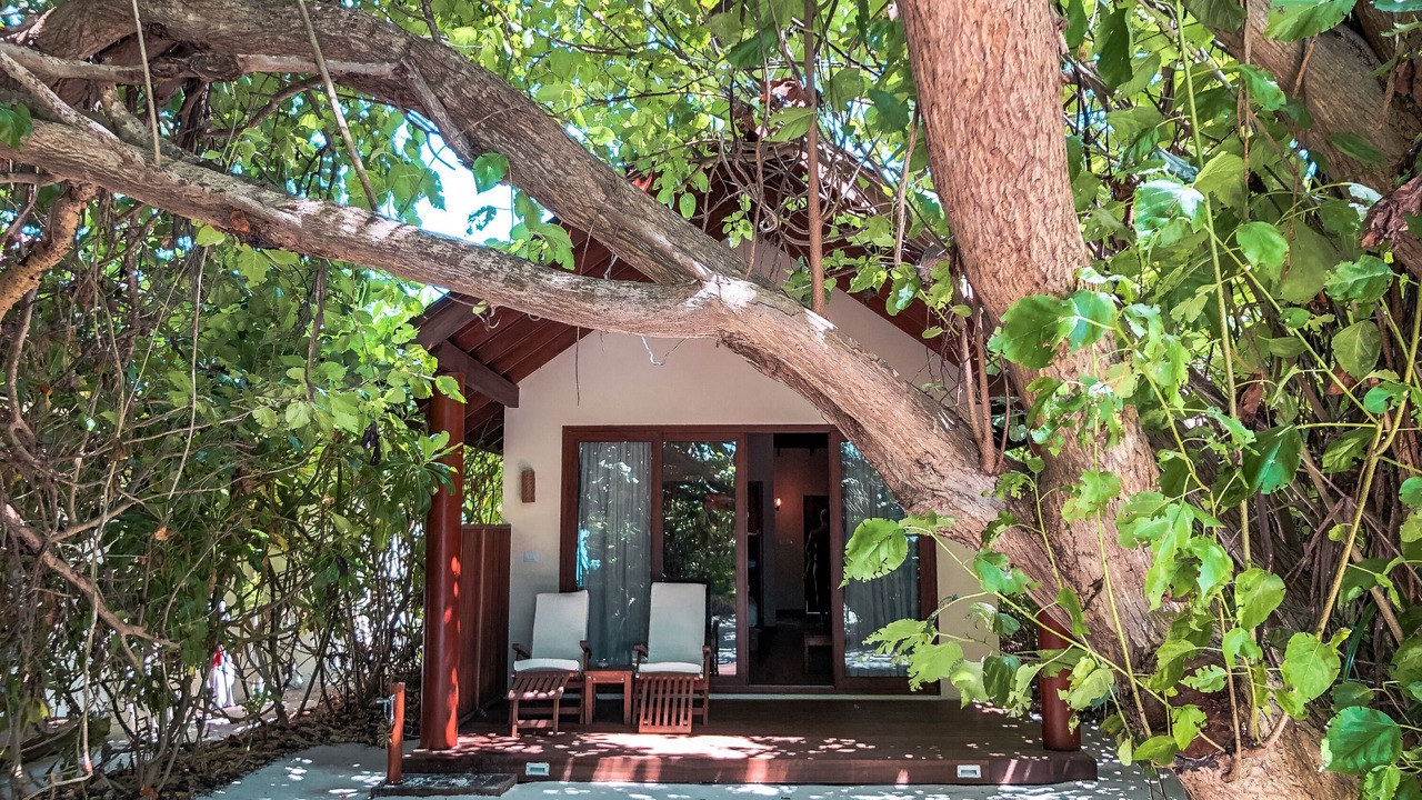 Photo of Bedroom in Filaidhoo