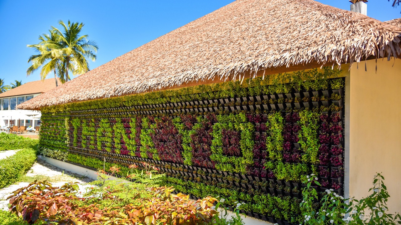 Photo of Outdoor in Filaidhoo