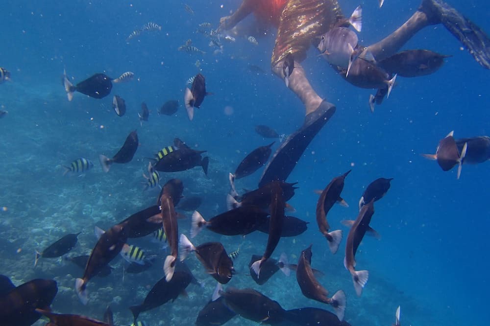 Photo of Outdoor in Himandhoo